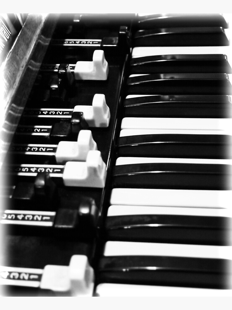 Hammond B3 Organ by douglasewelch