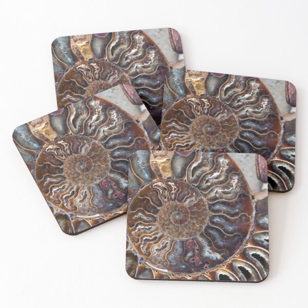 Item preview, Fossil Ammonite Crystal Nautilus  designed and sold by Elena Ray.