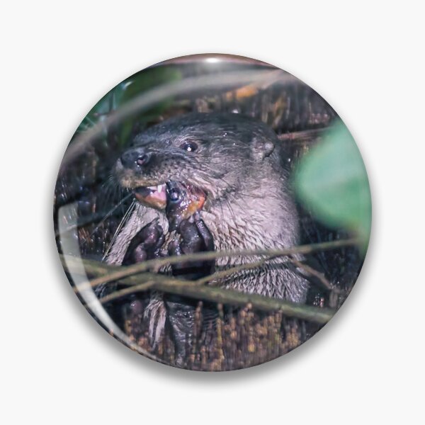 Item preview, Otter eating fish in Tortuguero designed and sold by Ulysse Pixel.