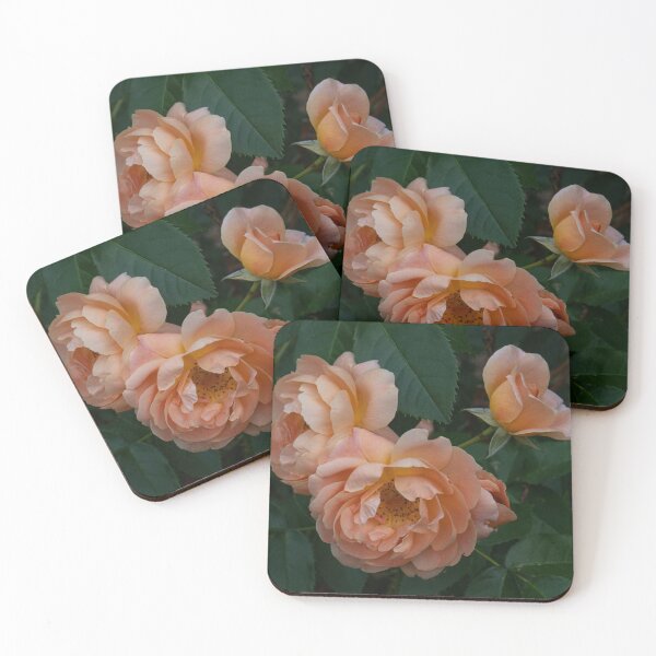 Item preview, Peach Coloured Roses designed and sold by Gerda Grice Photography.