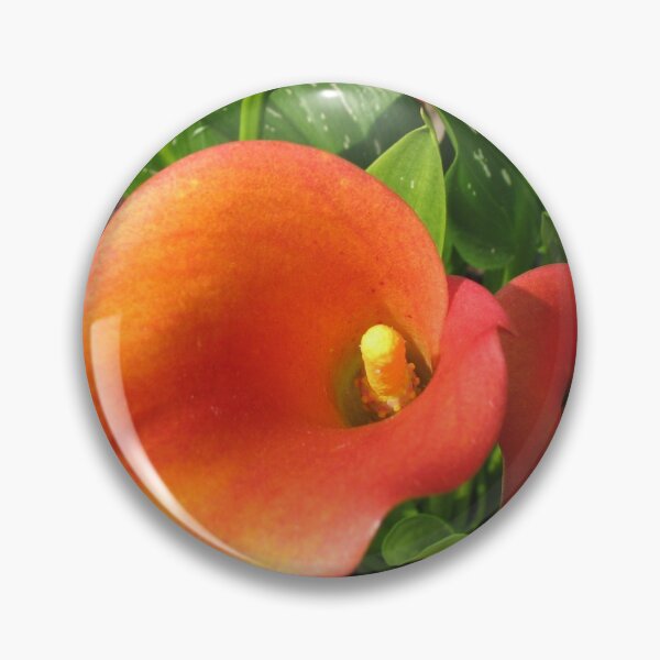 Item preview, Two Orange Calla Lilies designed and sold by SunriseRose.