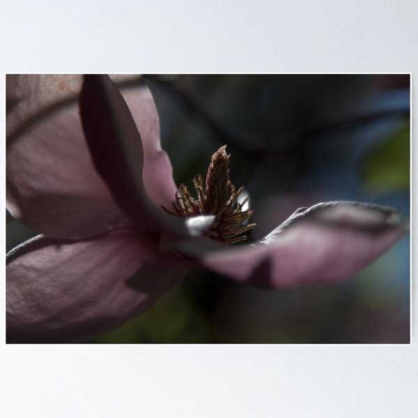 Item preview, Soft light designed and sold by Andrew Bloom.