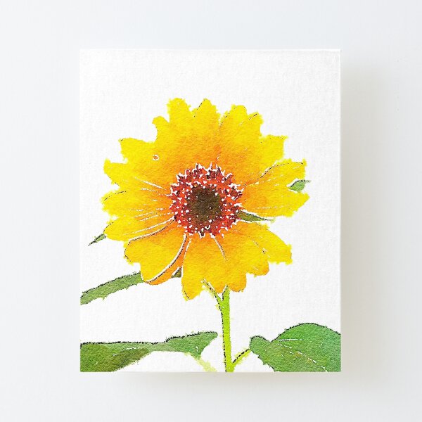 Sunflower in Watercolor Canvas Mounted Print