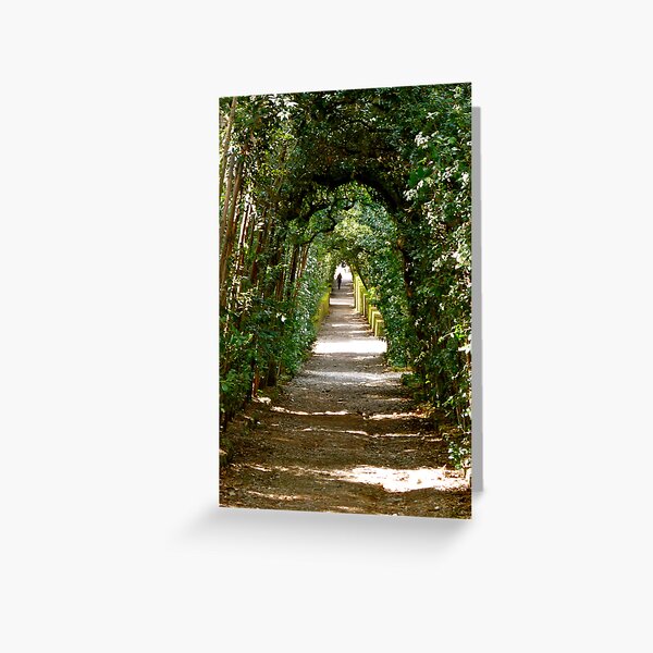 Item preview, Boboli: archway of trees designed and sold by kejube.
