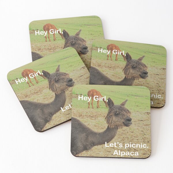 Item preview, Hey Girl, Alpaca pick up line designed and sold by themuseinspired.