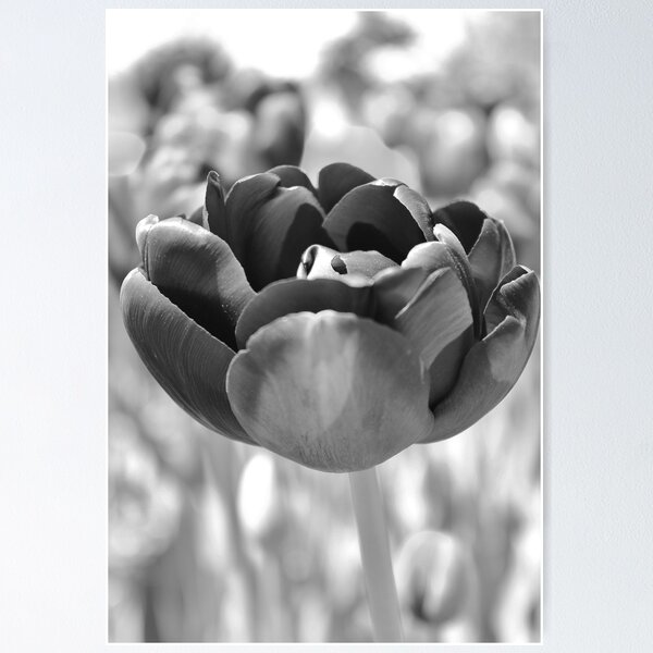 Item preview, Botanic Garden, Brooklyn. designed and sold by RaymondJames.