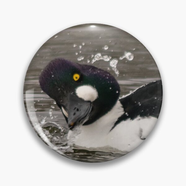 Item preview, Goldeneye Duck Funny Expression designed and sold by ManiacMoose.
