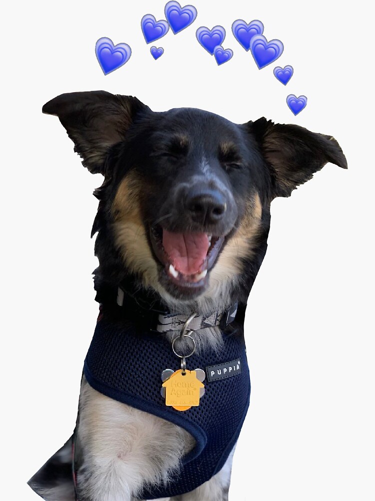 "Crankgameplays Spencer Blue Hearts" Sticker for Sale by mistyp72