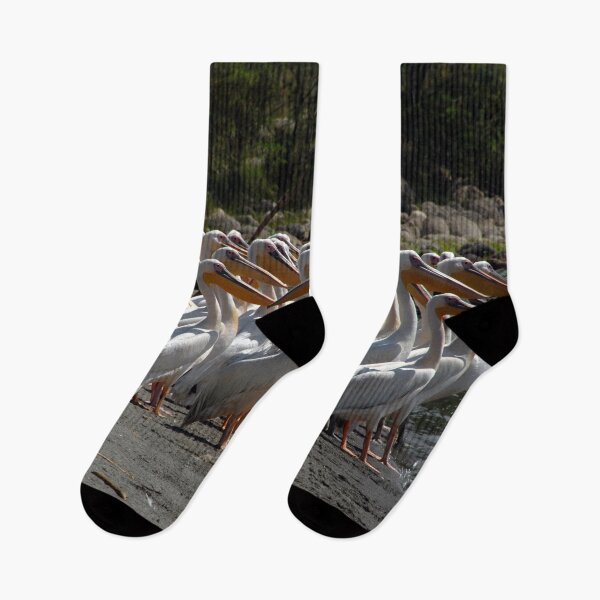 Item preview, White Pelicans  designed and sold by Anna Lemos.