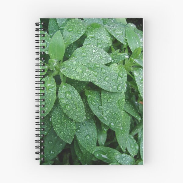 Item preview, Raindrop Decorated Leaves designed and sold by Mary Ellen Tuite.