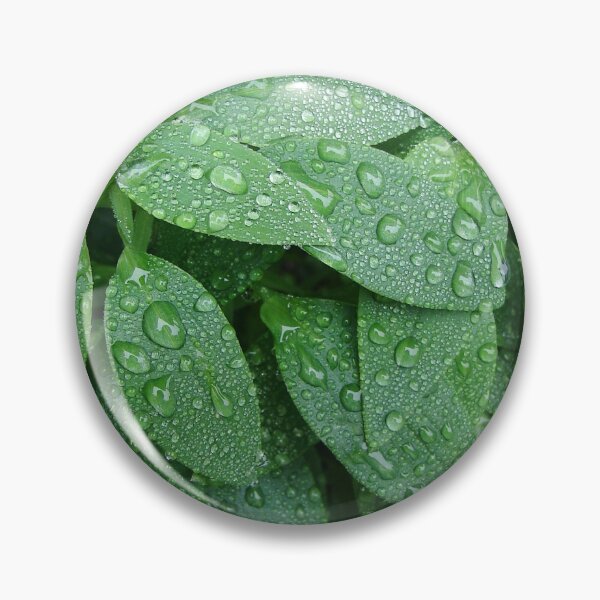 Item preview, Raindrop Decorated Leaves designed and sold by Mary Ellen Tuite.