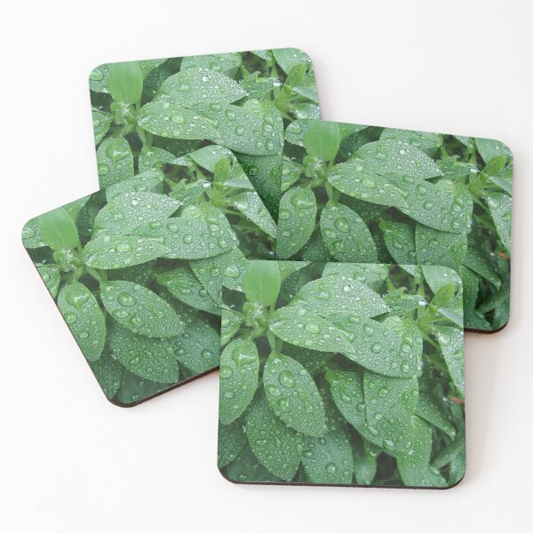 Item preview, Raindrop Decorated Leaves designed and sold by Mary Ellen Tuite.