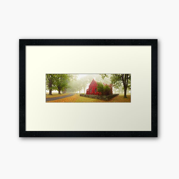 Framed Art Print