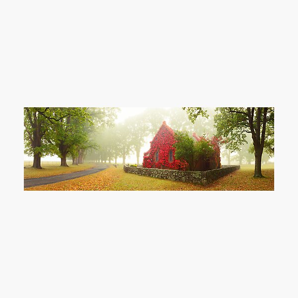 Photographic Print