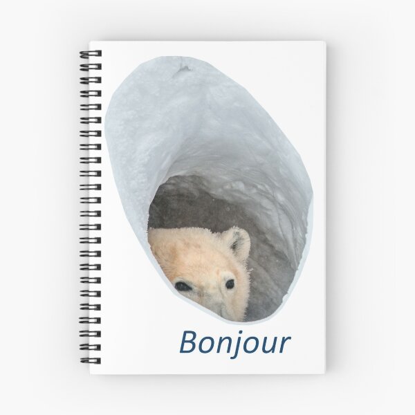 Item preview, Bonjour polar bear meme designed and sold by HangLooseDraft.
