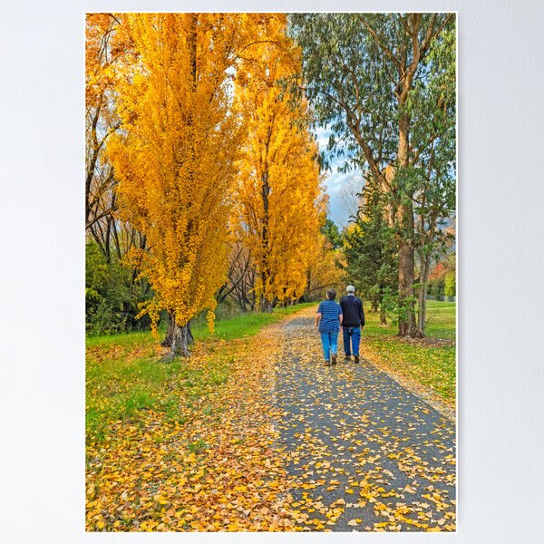 Item preview, The Poplar Trail designed and sold by Mark Lucey.