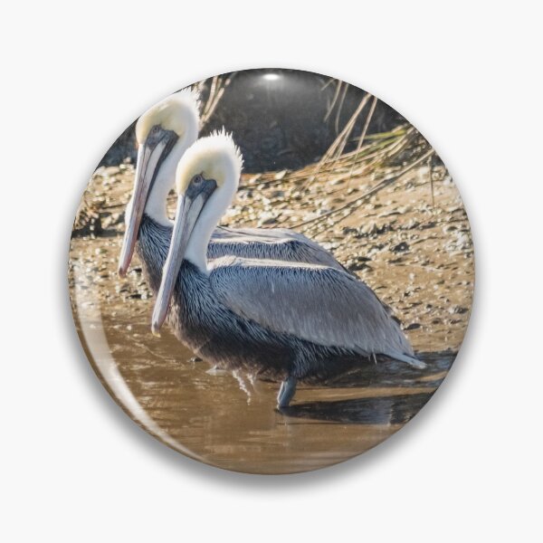 Item preview, Pelican in Intracoastal Waterway designed and sold by KensLensDesigns.