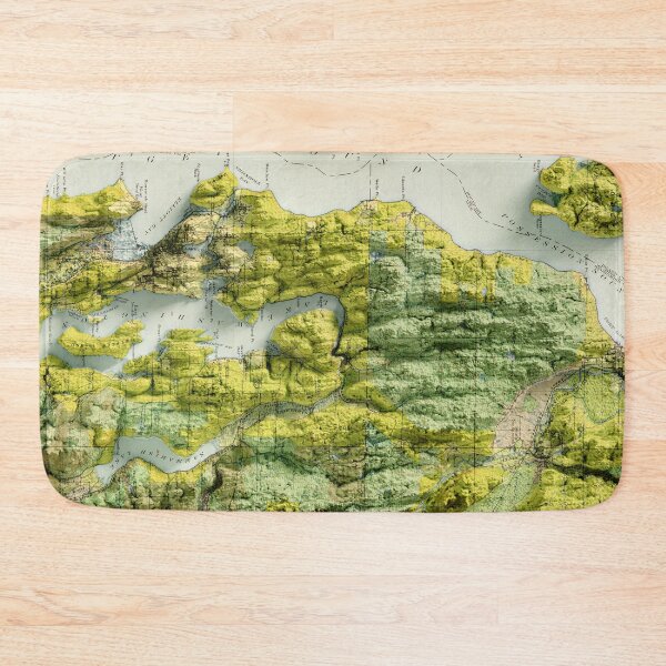 Item preview, 1900 3D Seattle Map land classification digitally-rendered designed and sold by ThinkAboutMaps.