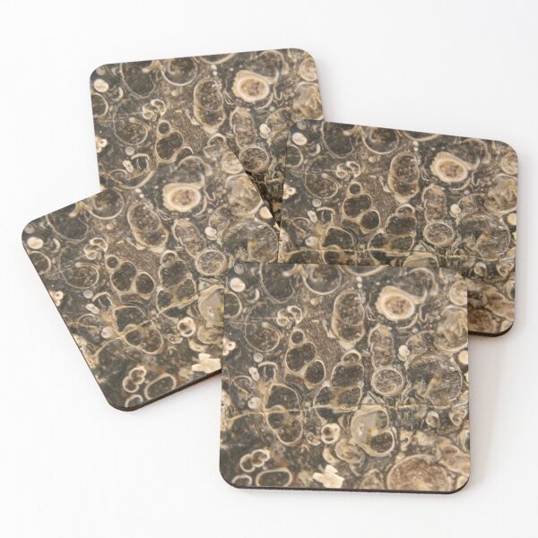 Item preview, Fossilized shell photography designed and sold by themuseinspired.
