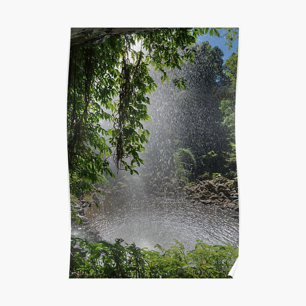 Behind Crystal Shower Falls, Dorrigo, NSW Poster