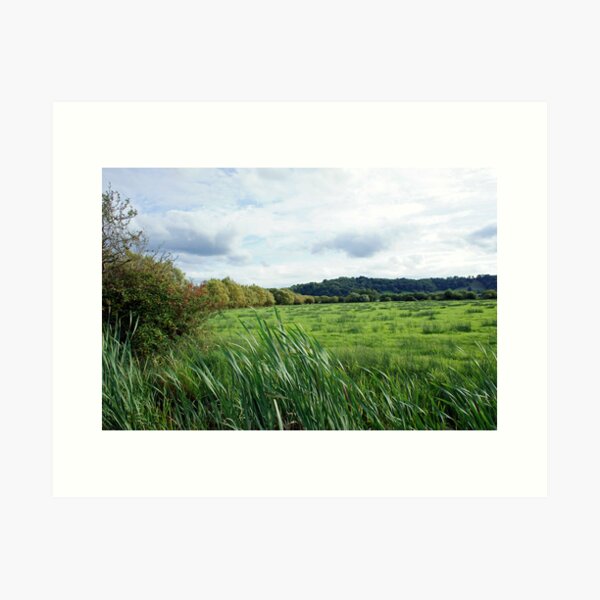 Somerset Levels Art Print