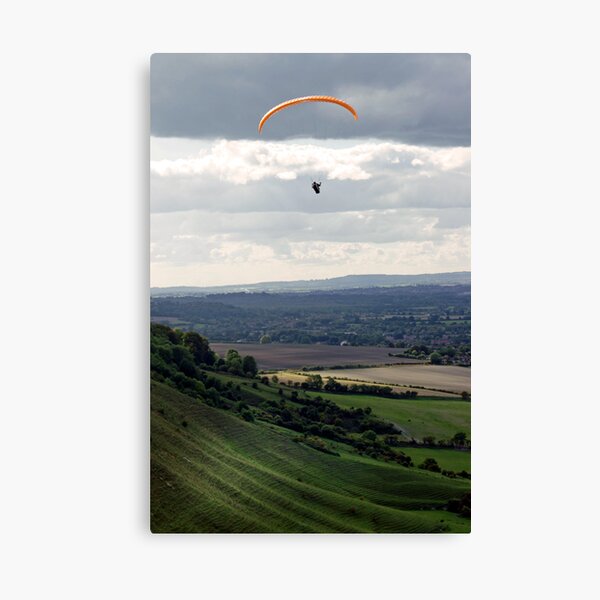 Item preview, Gliding designed and sold by Sally Barnett.