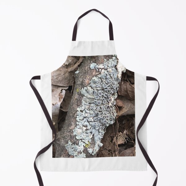 Item preview, Lichen in the Woods designed and sold by Paula Betz.