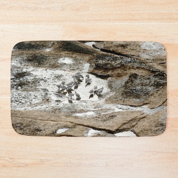 Item preview, Sandpipers Wader Birds Feeding in a Tide Pool designed and sold by Anna Lemos.