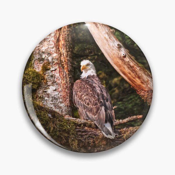 Item preview, Bald Eagle 4. designed and sold by Alex Preiss.