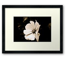 "Black and White Flower" Framed Prints by CeiraCrainer | Redbubble