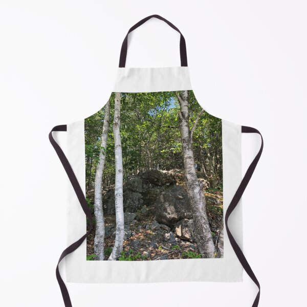 Item preview, Trees and Rocks in Maine designed and sold by Paula Betz.