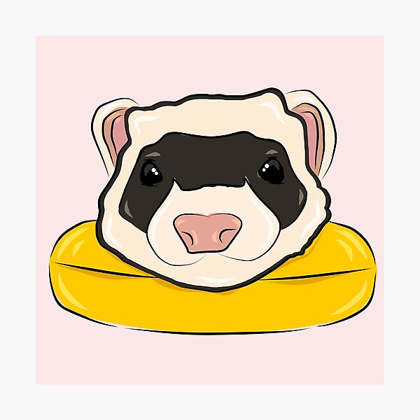 Item preview, Ferret Floaty designed and sold by guavarte.
