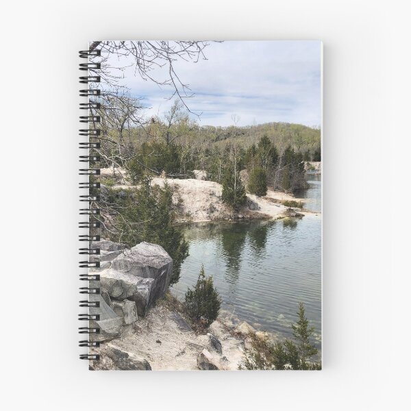 Item preview, Tree Growing in the Rocks  designed and sold by Paula Betz.