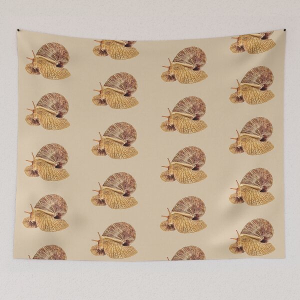 Item preview, Achatina snail taken closeup isolated on white. designed and sold by IaroslavB.