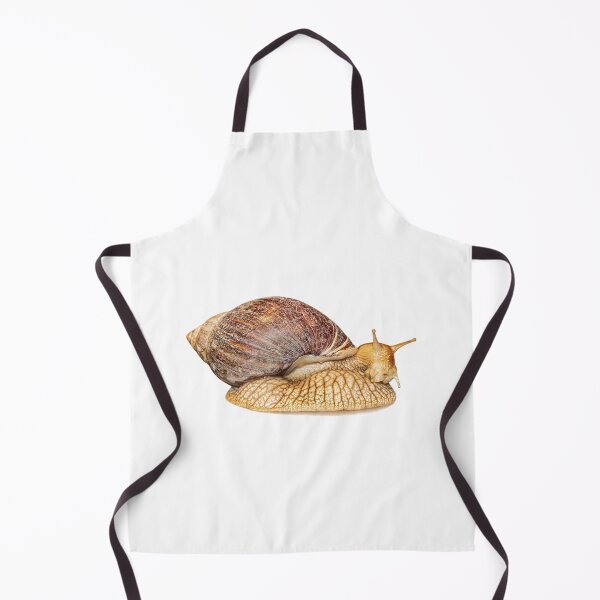 Item preview, Achatina snail isolated on white background with shadow. designed and sold by IaroslavB.