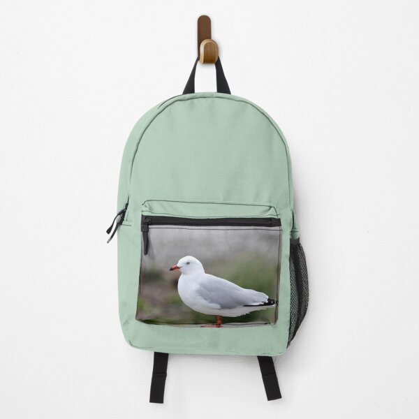 Item preview, Seagull Standing On Wall designed and sold by KarenWoodArt.