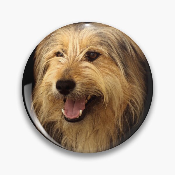 Item preview, dog animal portrait on black background designed and sold by Nikoleta Vukovic.