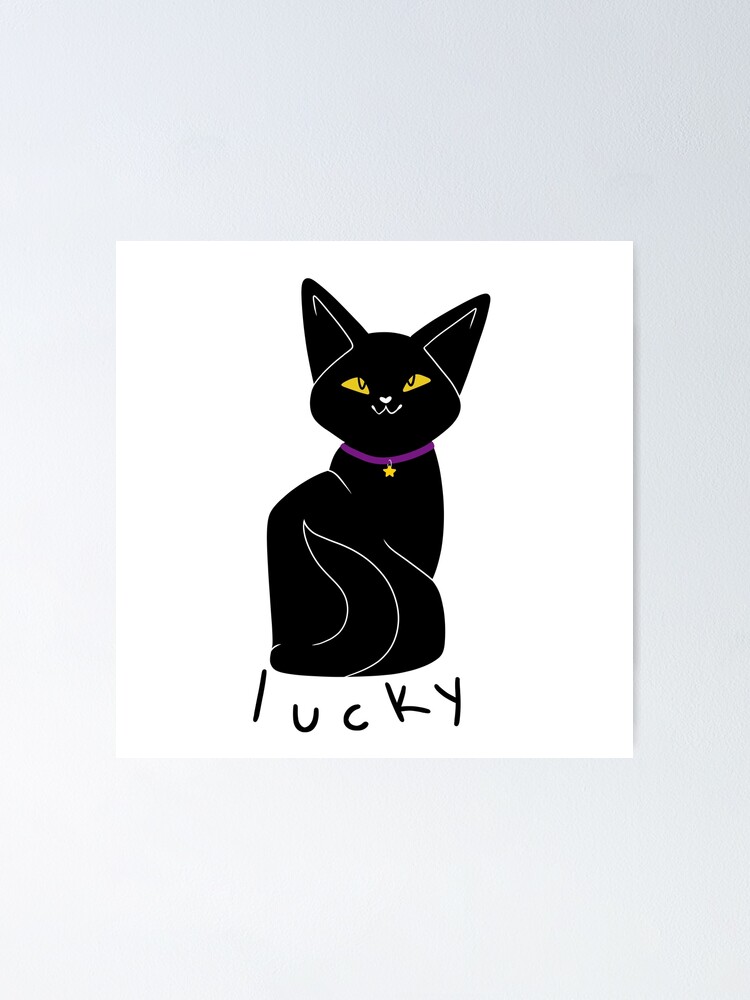 lucky black cat