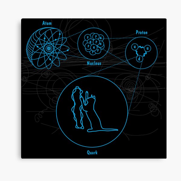String Theory Canvas Print
