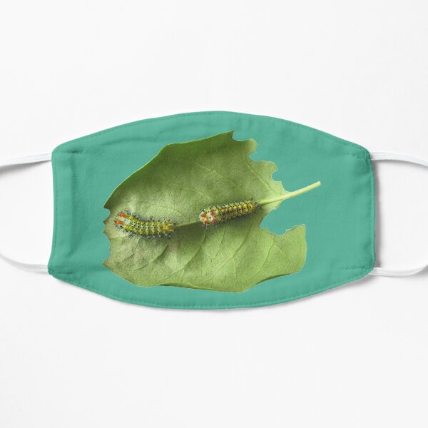 Cecropia Caterpillar Eating Leaf Mask