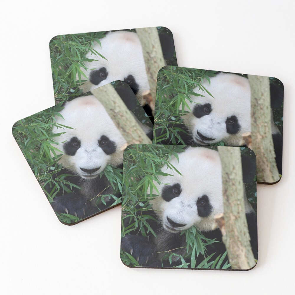 Item preview, Coasters (Set of 4) designed and sold by Kokako.