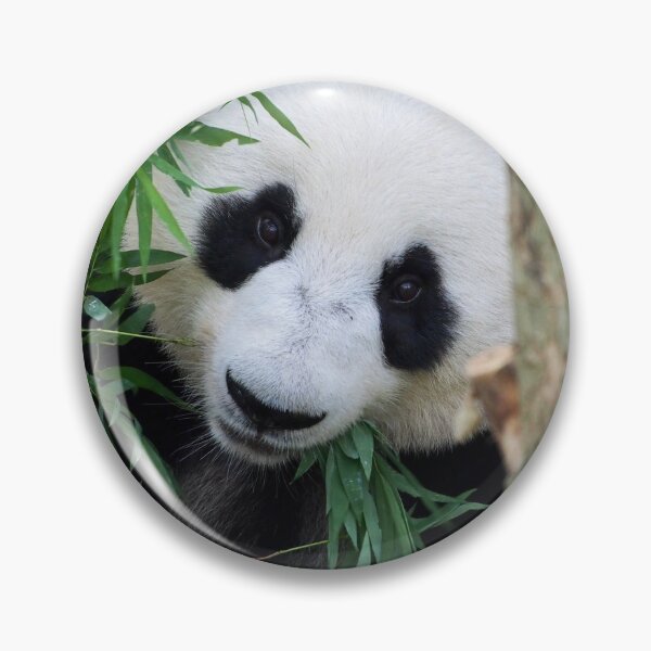 Item preview, Panda designed and sold by Kokako.
