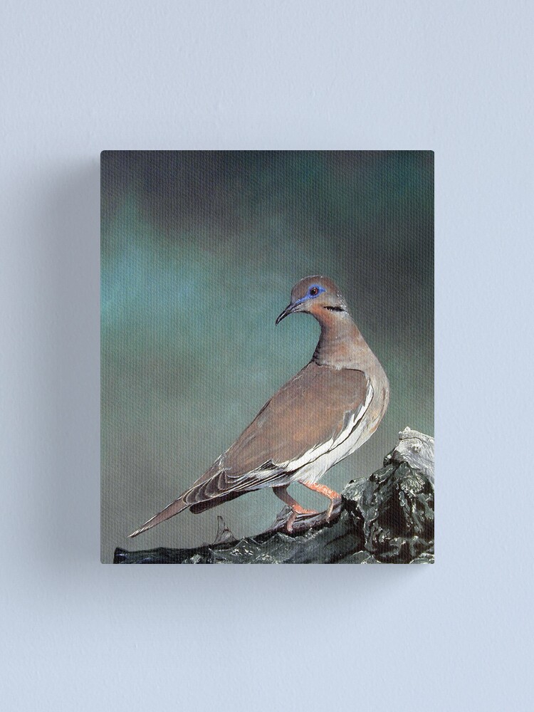 Alternate view of White Wing Dove Canvas Print