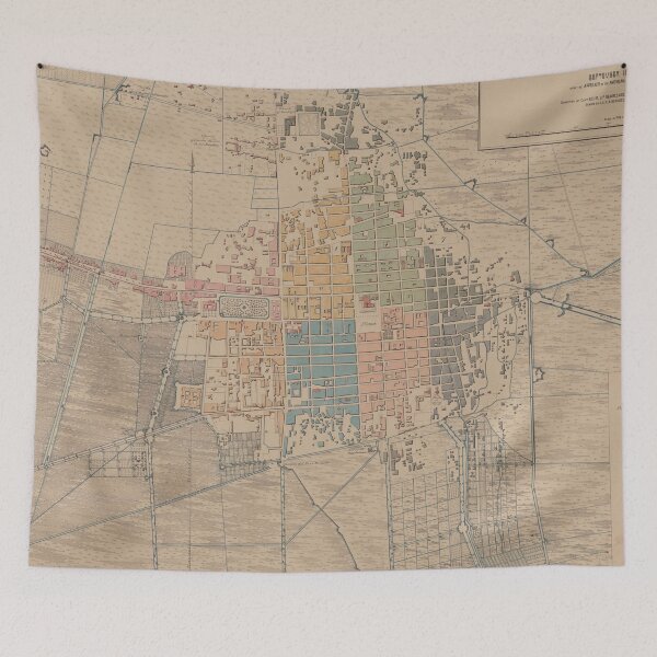 Item preview, Vintage Map of Mexico City (1847) designed and sold by BravuraMedia.