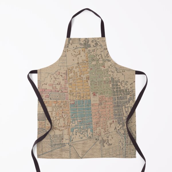 Item preview, Vintage Map of Mexico City (1847) designed and sold by BravuraMedia.