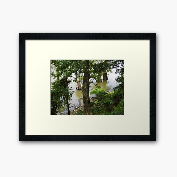 Item preview, Cook's Lake, From Above designed and sold by WildestArt.