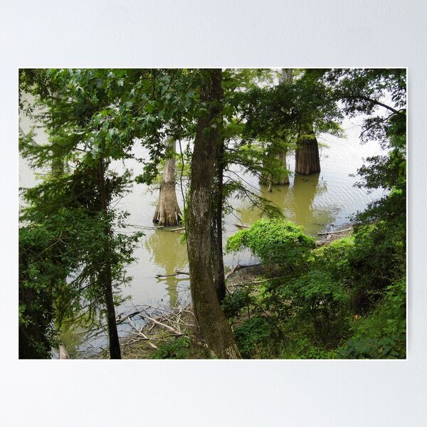 Item preview, Cook's Lake, From Above designed and sold by WildestArt.