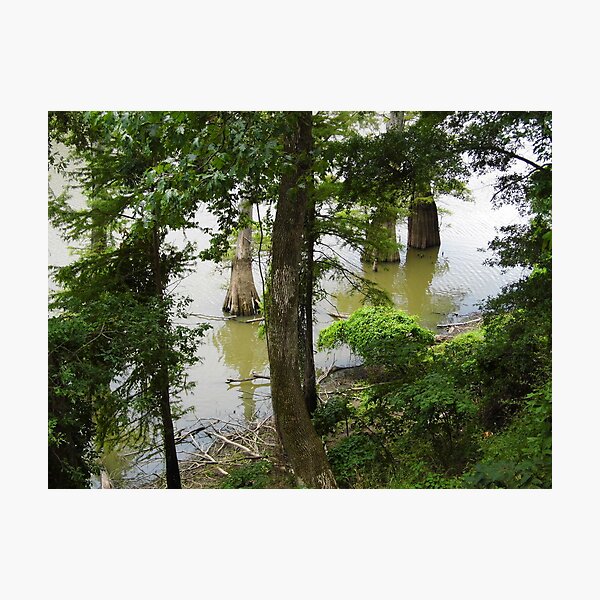 Item preview, Cook's Lake, From Above designed and sold by WildestArt.