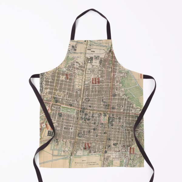 Item preview, Vintage Map of Mexico City (1886) designed and sold by BravuraMedia.