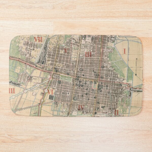 Item preview, Vintage Map of Mexico City (1886) designed and sold by BravuraMedia.